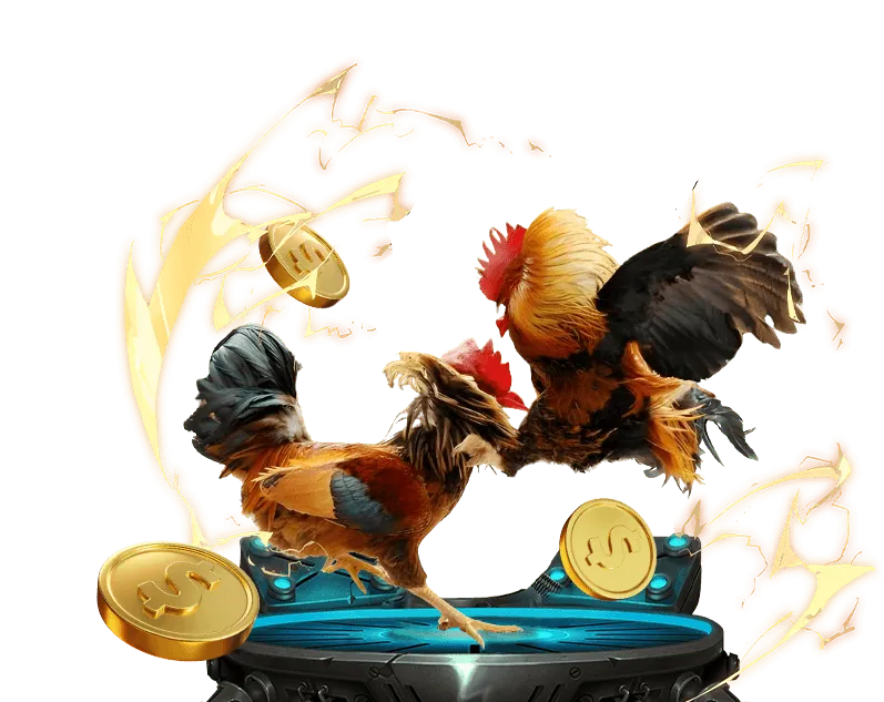 Hướng Dẫn Đặt Cược Đá Gà Trực Tuyến